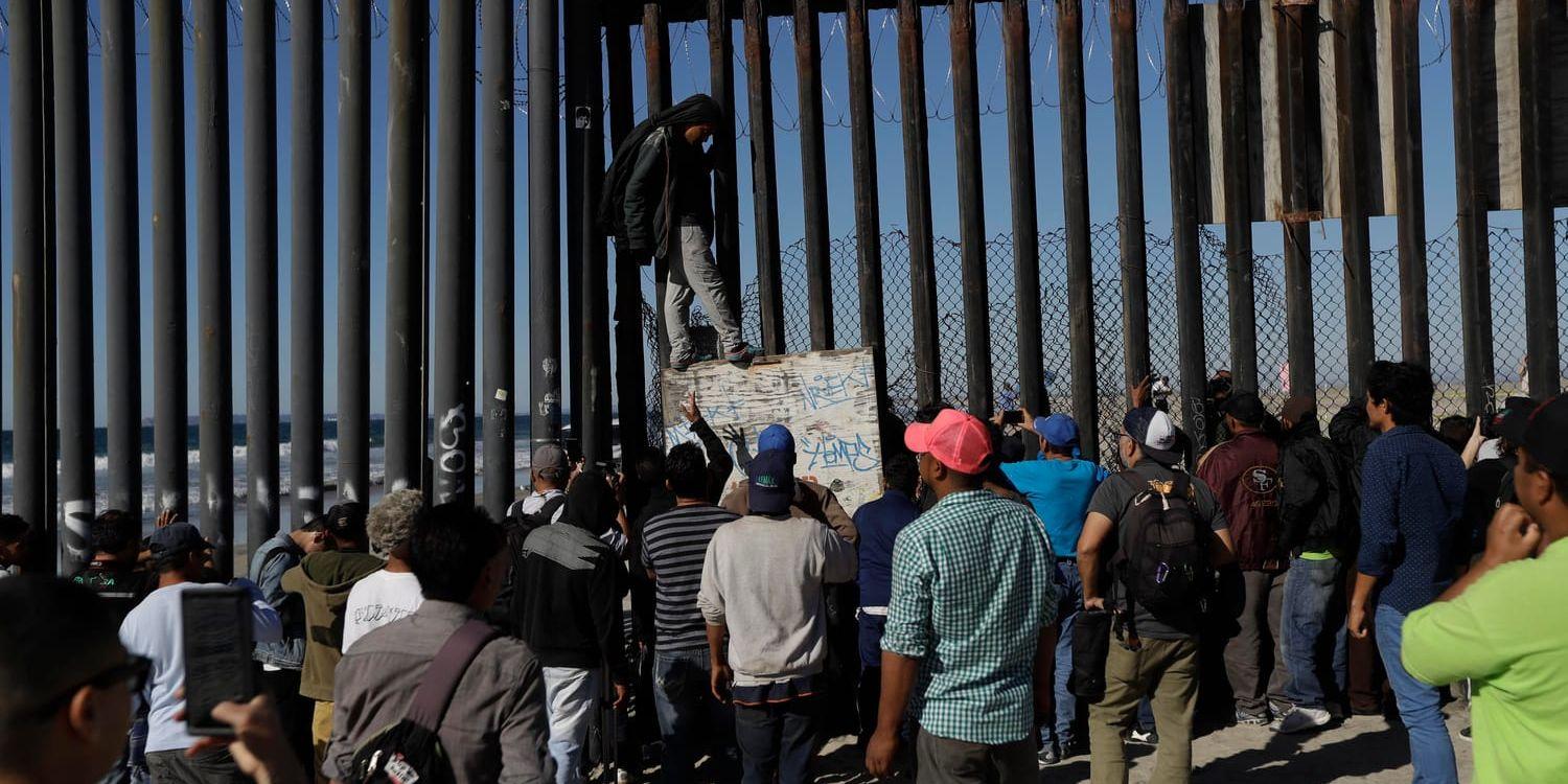 Hundratals migranter har nått fram till gränsen i Tijuana.