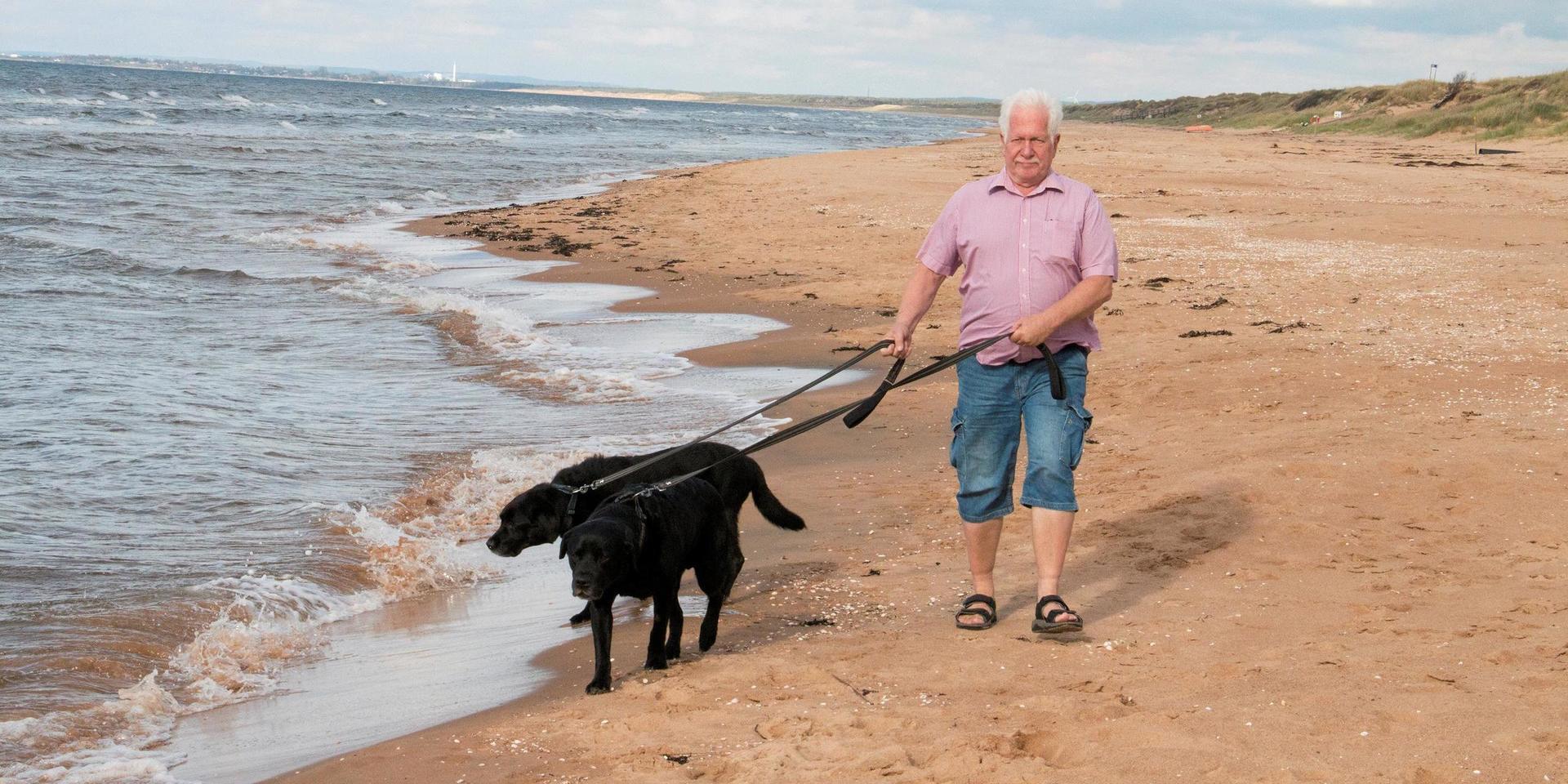 Göran Terninger är en av flera Mellbystrandsbor som gärna hade sett lite lösare tyglar för hundägare som vill promenera på stranden med sina jyckar. Laholms kommun ska undersöka om det går att hitta en ny variant av hundförbudet på stränderna under badsäsong.