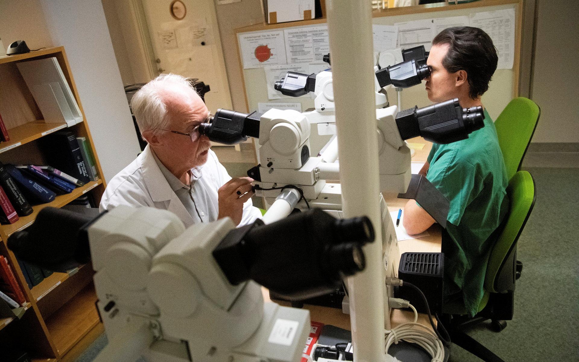 Genom det stora mikroskopet som flera personer kan titta i samtidigt kan kollegorna diskutera med varandra. Tomas Seidal är erfaren patolog och Casper Collett Jaklund är ST-läkare.