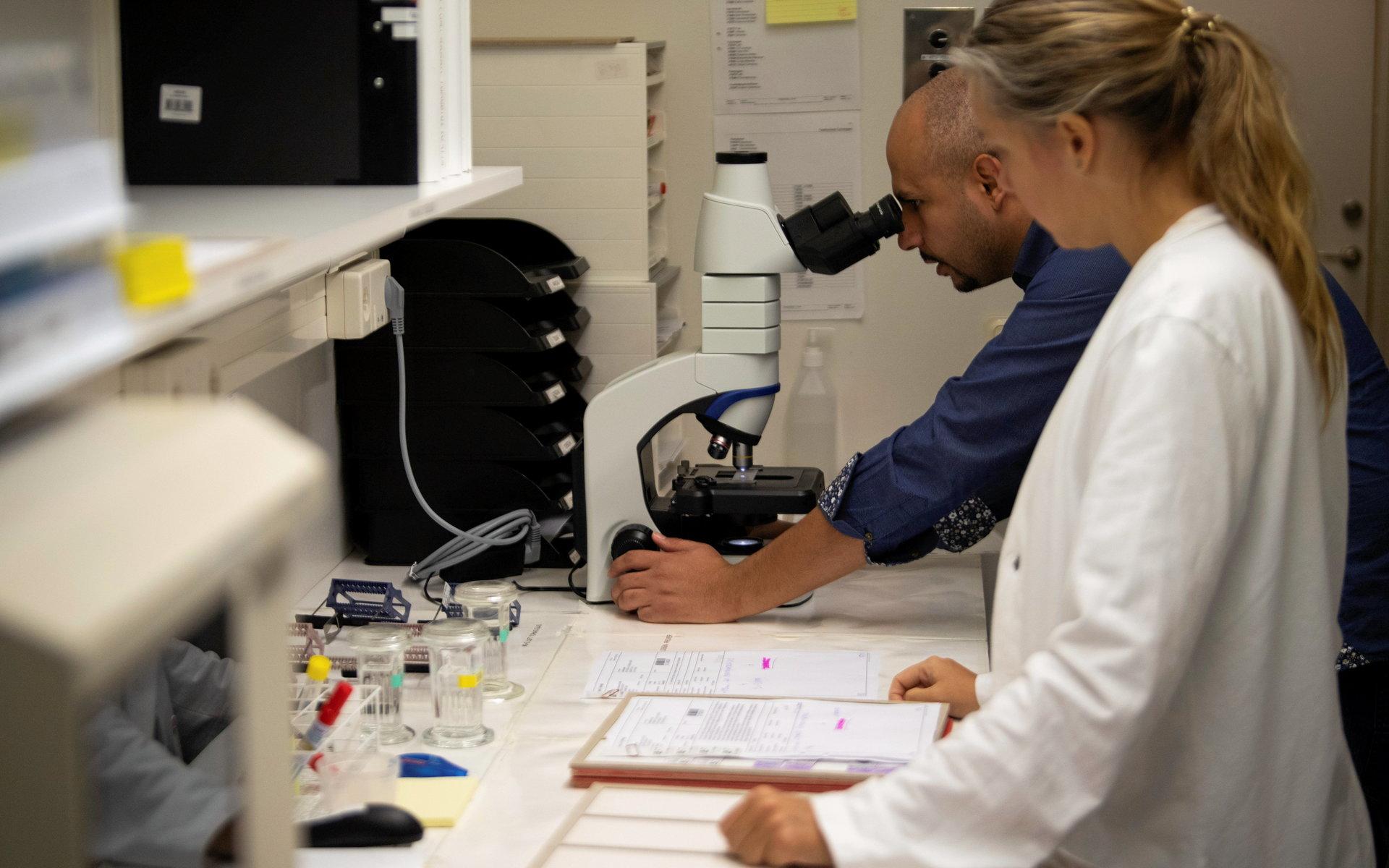 Mohammed Mansour och Karolina Torstensson studerar cellprov. Utöver patologer har cytodiagnostiker även befogenhet att ställa vissa diagnoser genom cellprov.
