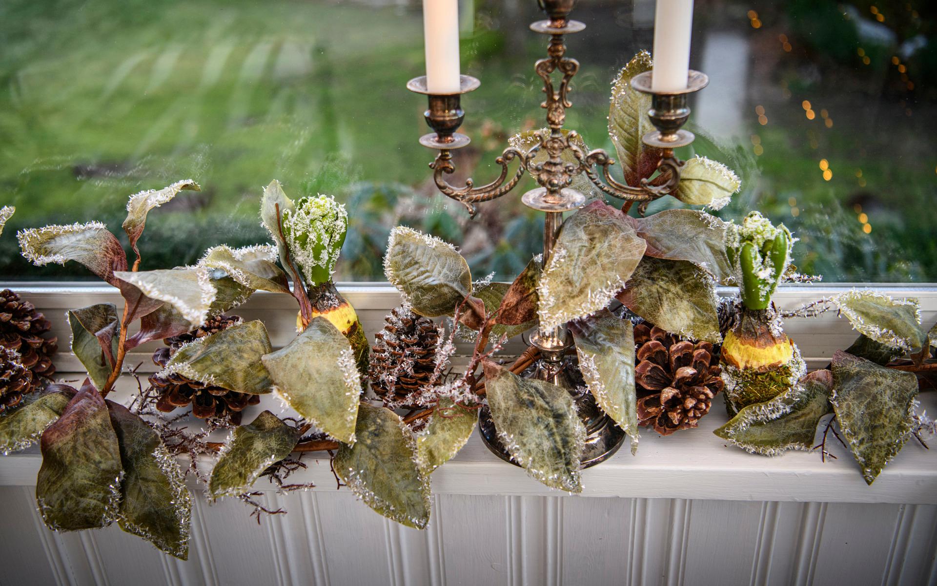 Matsalens fönsterkarmar har dekorerats med grönska och frostade blad.