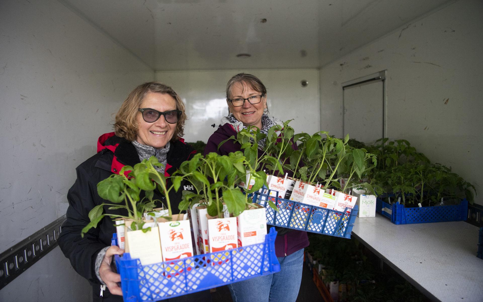Astrid Hellring och Eva Andersson erbjöd ett stort utbud växter och grönsaker.