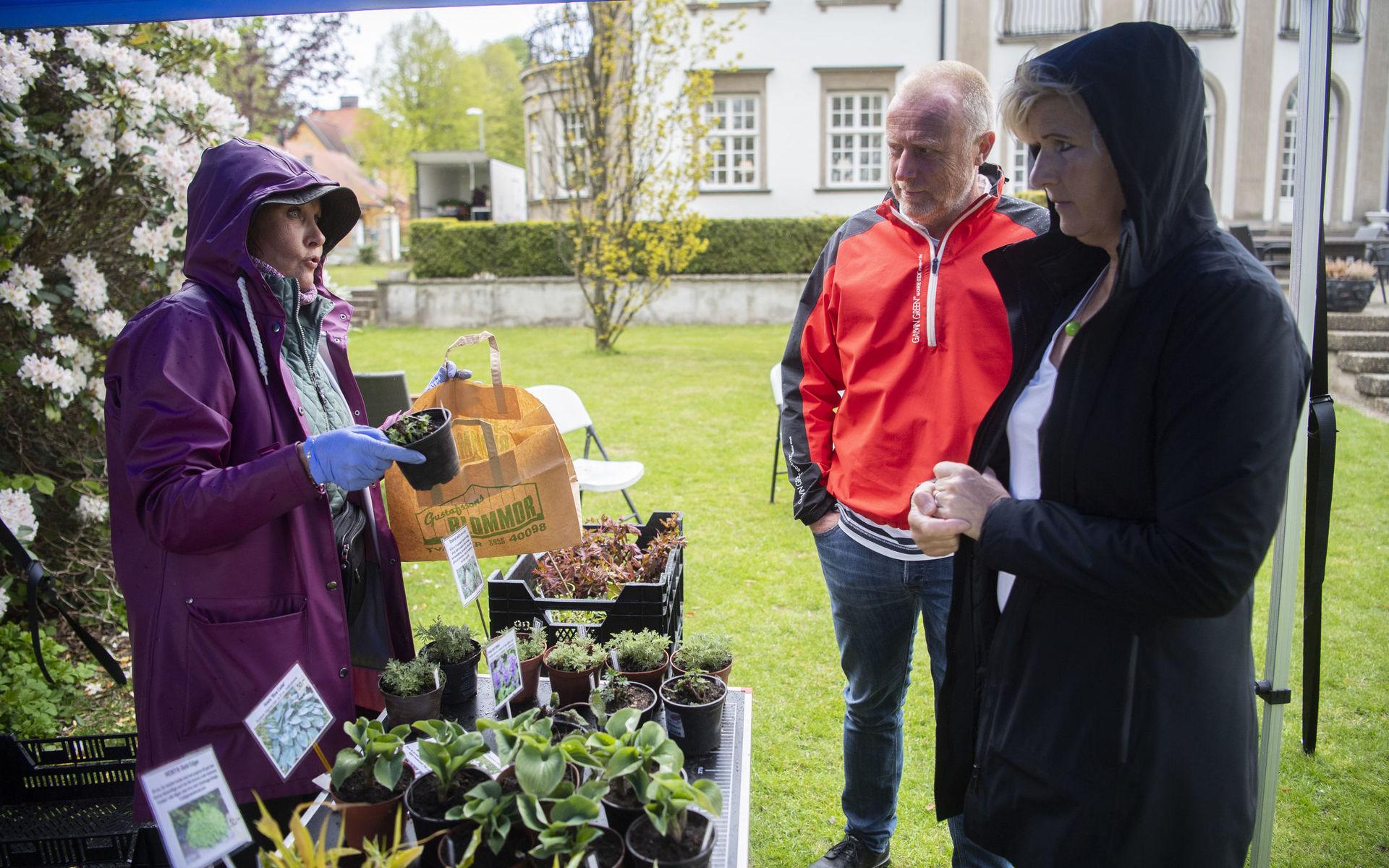 Ing-Marie Abrahamsson pratade med Gert Heinsvig och Ellika Stare om växternas olika egenskaper.
