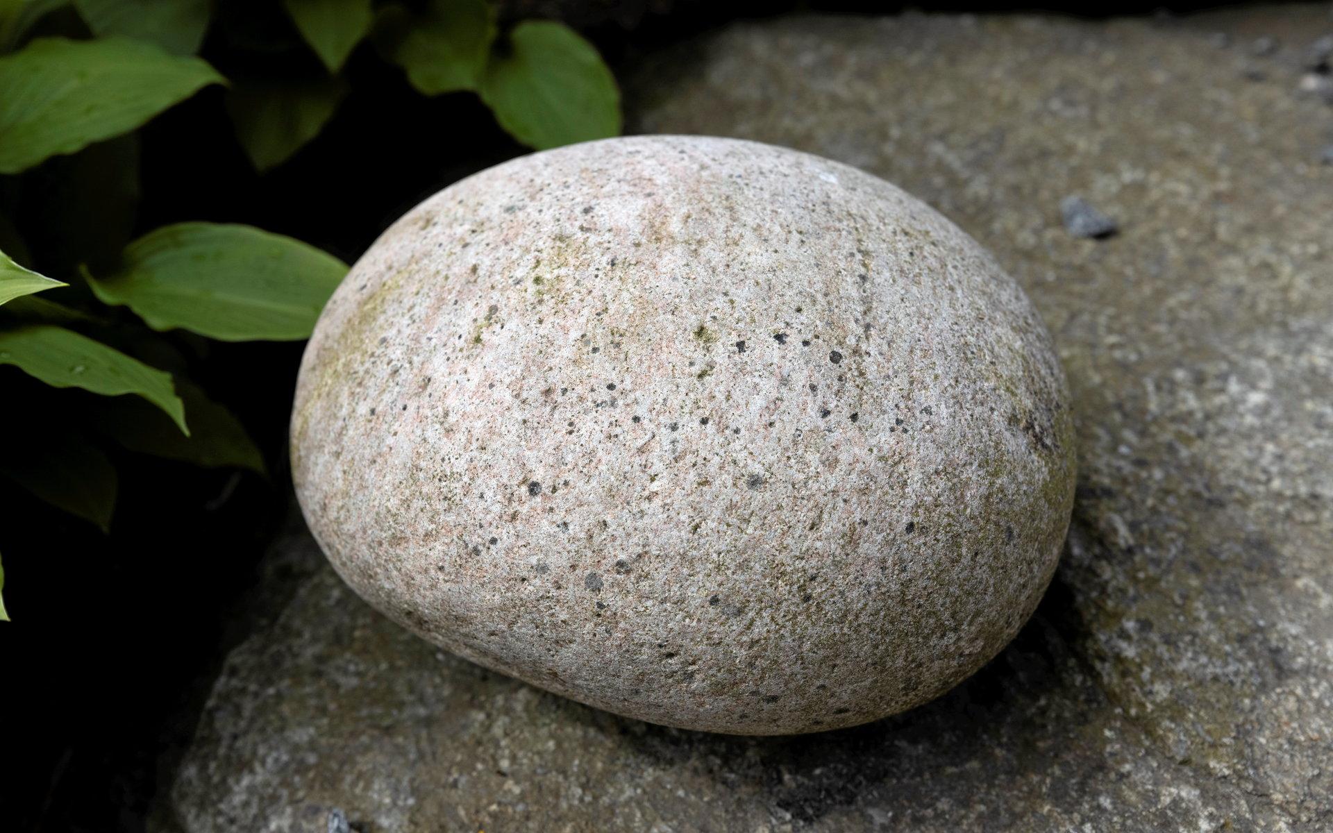 En rund sten blir en prydnad i sig.