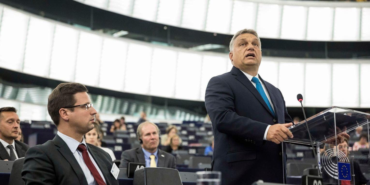 Ungerns premiärminister Viktor Orbán på plats i EU-parlamentet.