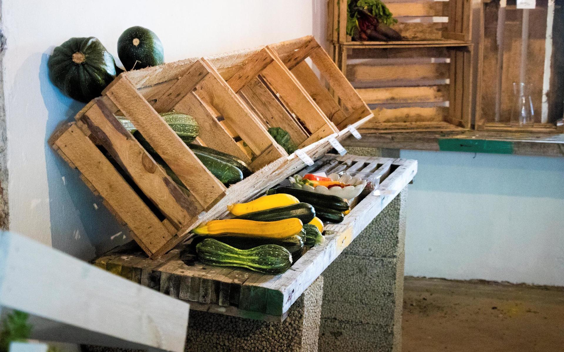 I den nyöppnade gårdsbutiken säljs allt som odlats i landet eller i trädgården. Tomater, zucchini och kål av alla dess slag. Besökarna hittar dagligen till butiken. 