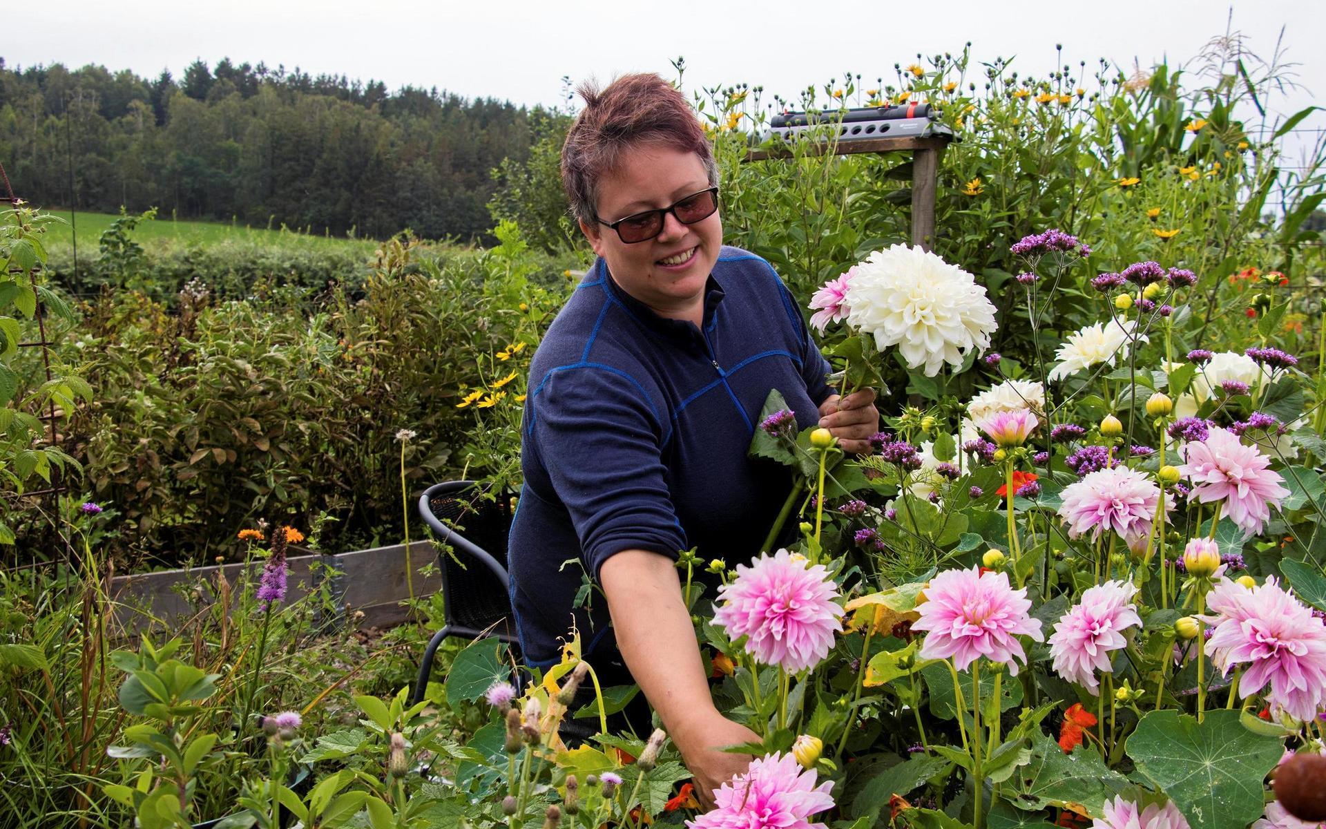I trädgården växer alla möjliga sorters blommor. Josefine Lindmark tycker det är roligt att binda buketter och gör ibland några som hon ställer ut till försäljning. 