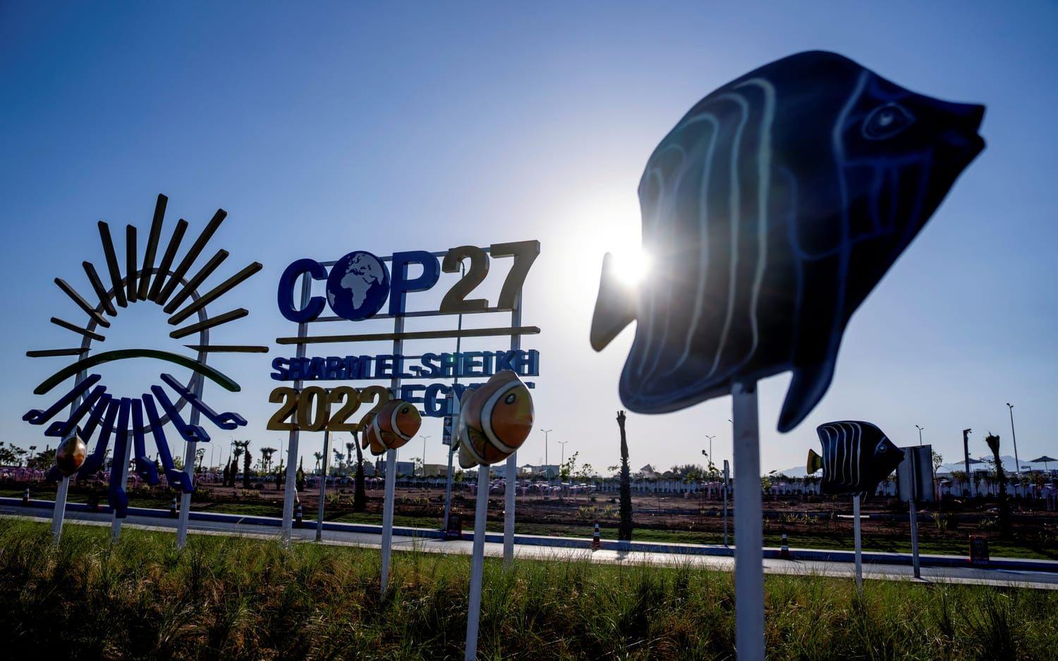 Klimattoppmötet COP27 hålls i Sharm el-Sheikh, Egypten.
