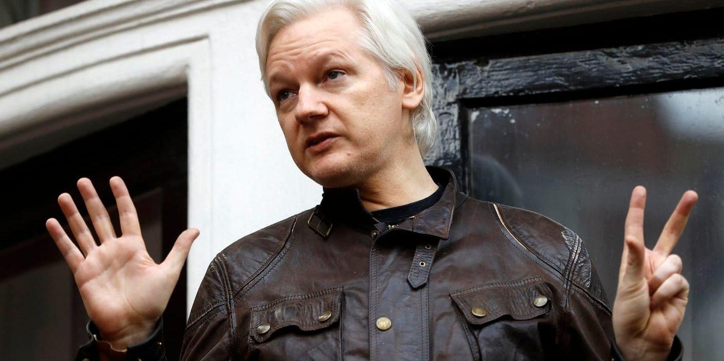 Julian Assange på Ecuadors ambassad i London. Arkivbild.