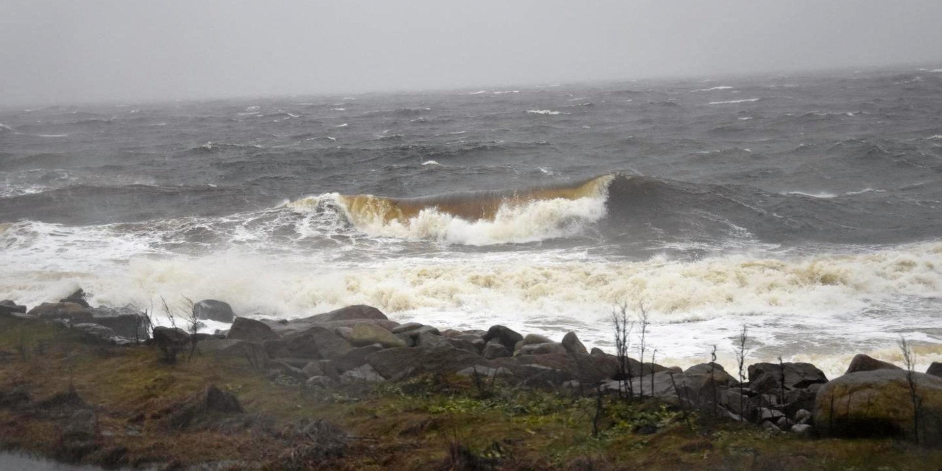 Det var utmed kusten, som här vid Grötvik, som vindstyrkan nådde upp till storm under förra helgen.