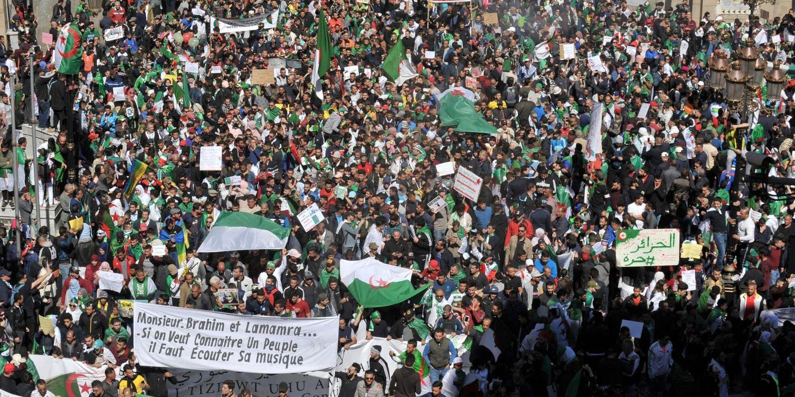 Demonstranter i Algeriets huvudstad Alger på fredagen.