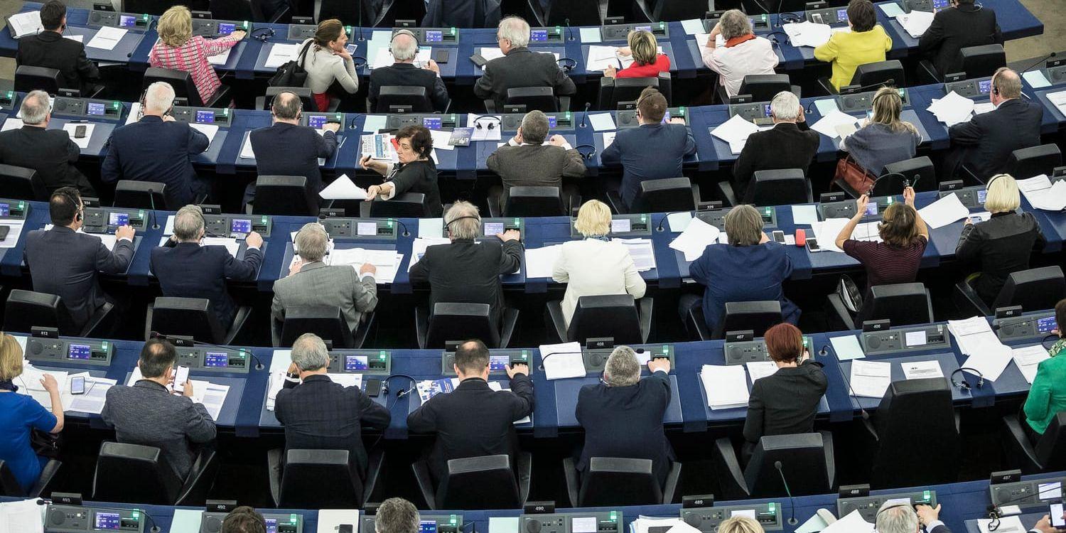 Andelen kvinnliga ledamöter i EU-parlamentet hamnade efter förra valet på 36,4 procent. Arkivbild.