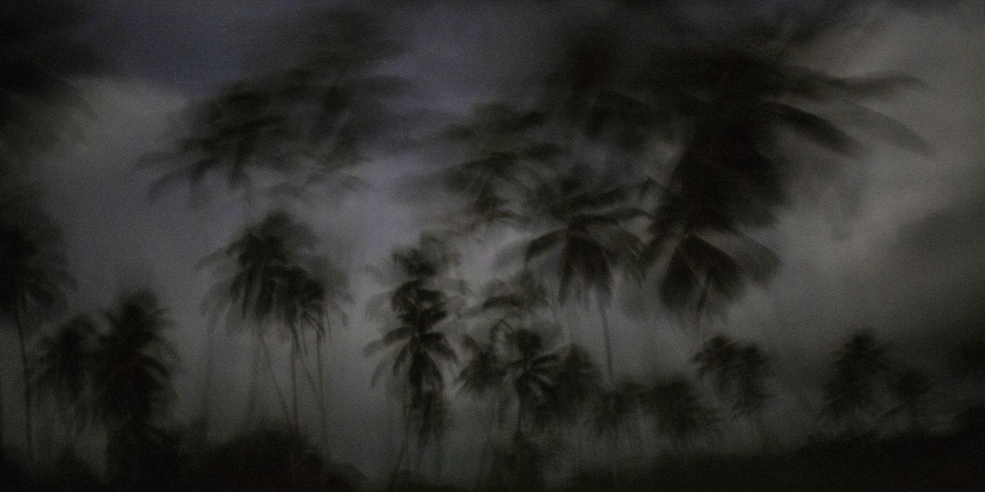 Berättelsen om sex pojkar som en juninatt 1965 kravlar i land på en öde ö i Stilla havet blir långfilm. Genrebild. 