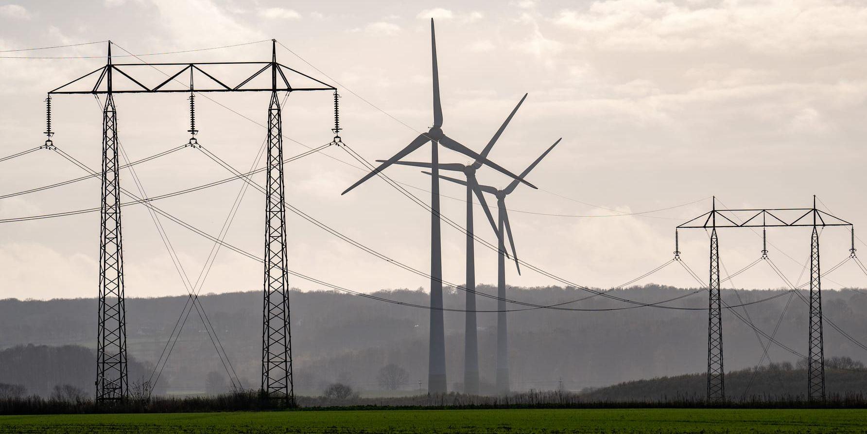 ”Trots att politikerna generellt sett är positiva, fortsätter de stoppa vindkraftsprojekt från att gå till länsstyrelsen för miljöprövning.”