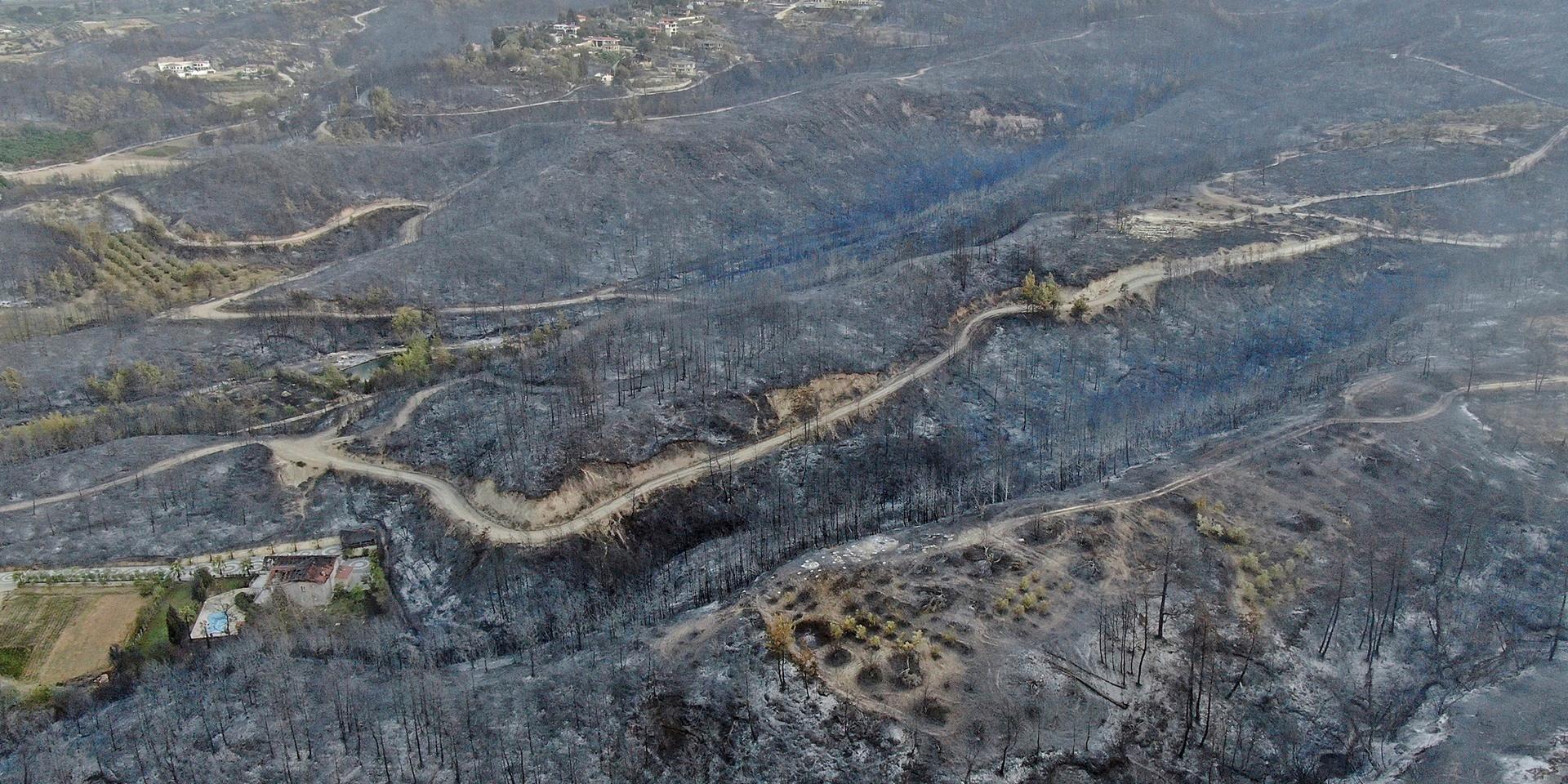 Skogsbranden rasar nära staden Manavgat i provinsen Antalya i Turkiet.