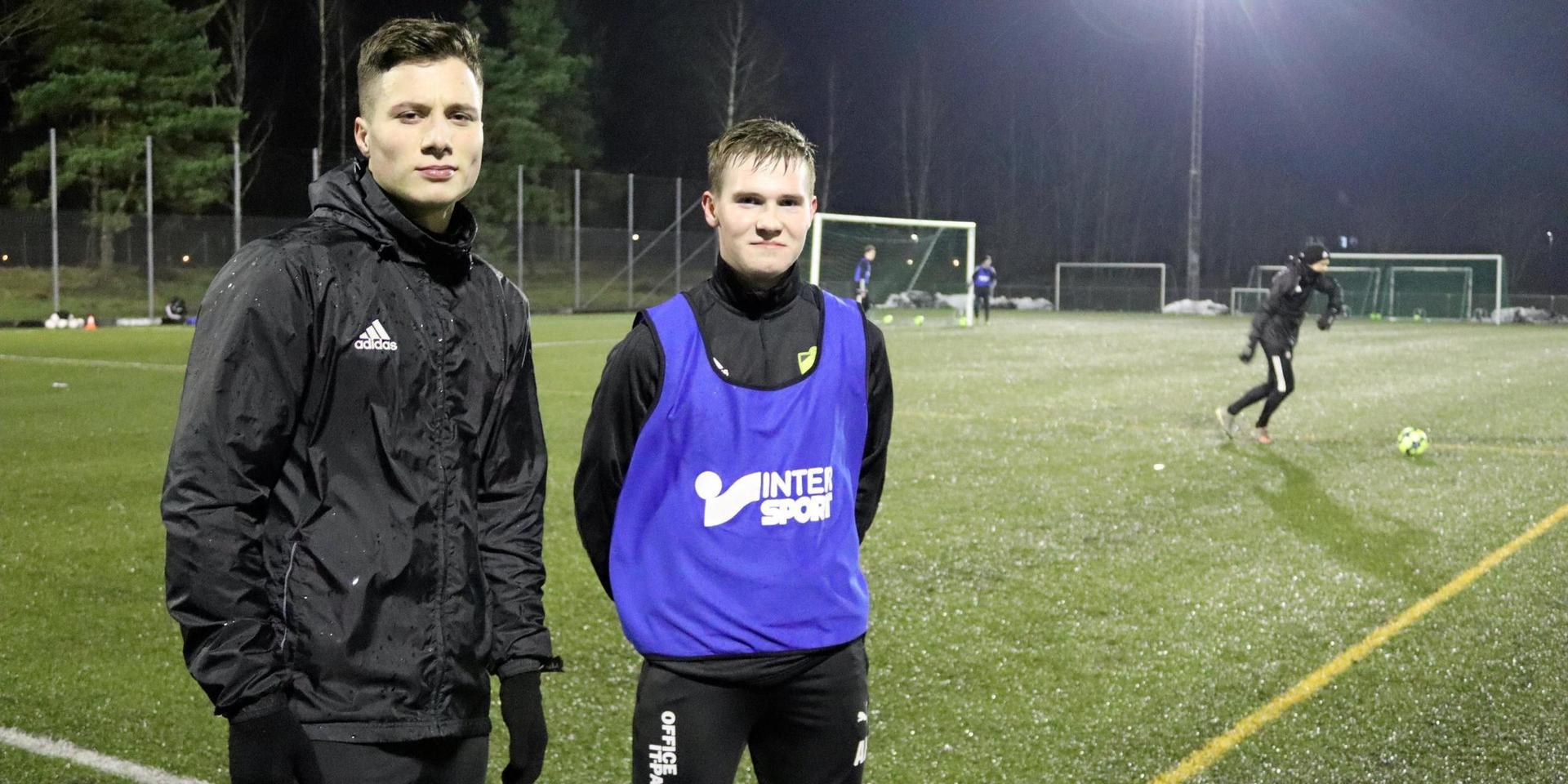 Nya i LFK inför säsongen är Lirak Cakolli, närmast från Vinberg, och Albin Branting från Halmstads BK:s U19-lag.
