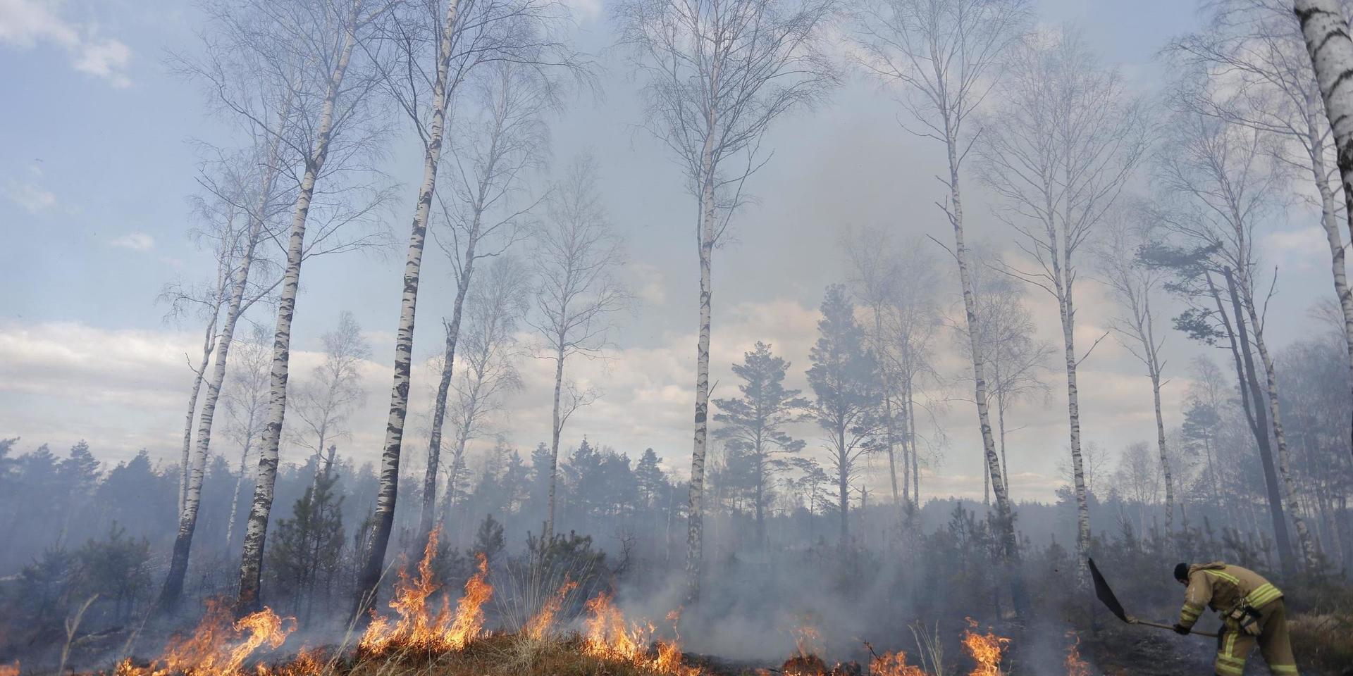I stora delar av södra och mellersta Sverige ligger varningar för risk för gräsbränder utfärdade. Arkivbild. 