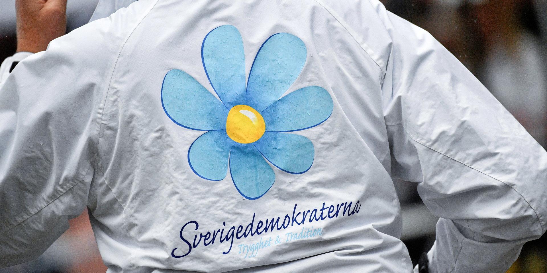 Bryter man mot Sverigedemokraternas stadgar om man som SD-aktiv startar en annan politisk förening? Den frågan ska partiet nu ta ställning till på riksnivå efter ett fall i Halmstad.