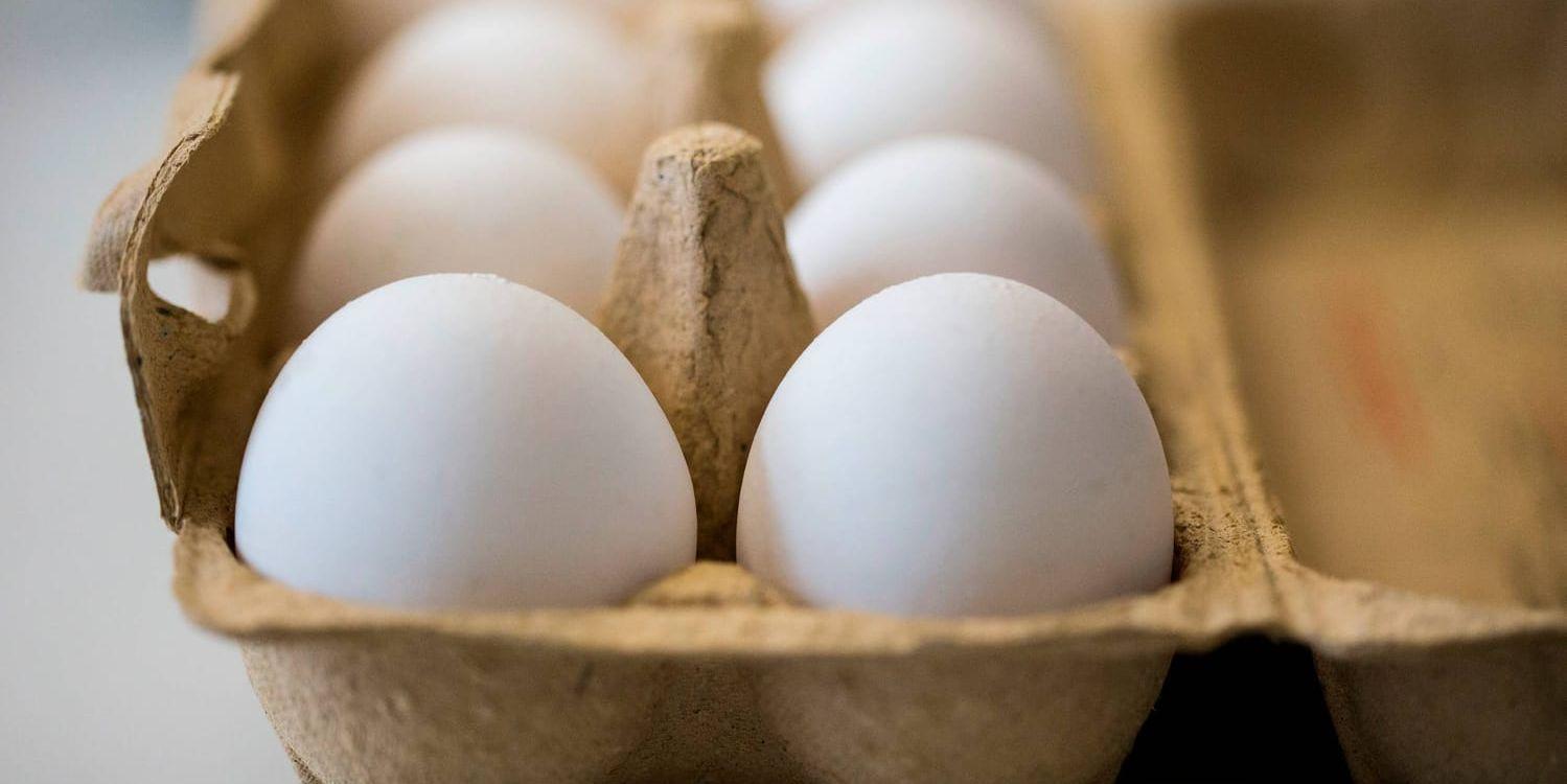 Skandalen med nederländska och belgiska ägg som innehåller det giftiga bekämpningsmedlet fipronil fortsätter att växa runt om i Europa. Arkivbild.