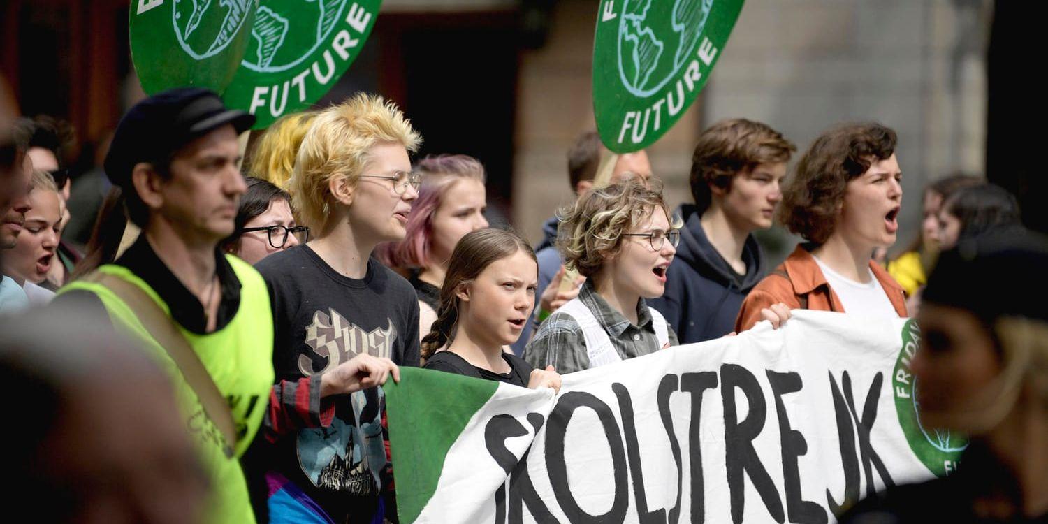 Greta Thunberg och demonstrationerna som följt efter hennes skolstrejk kan ha lett till gröna partiers framgång i valet.