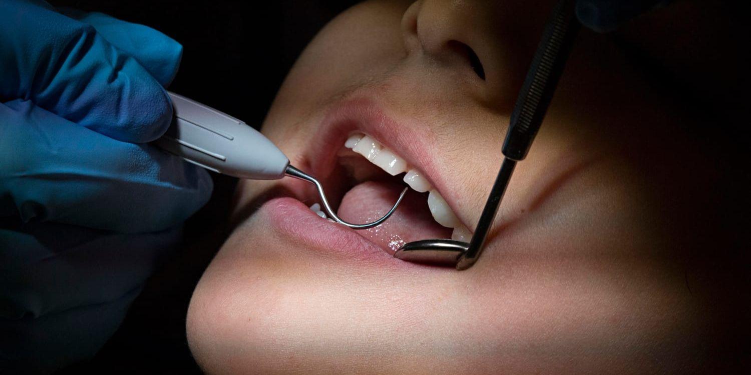 Polen har infört språkkrav för dem som utbildar sig till tandläkare i landet. Arkivbild.
