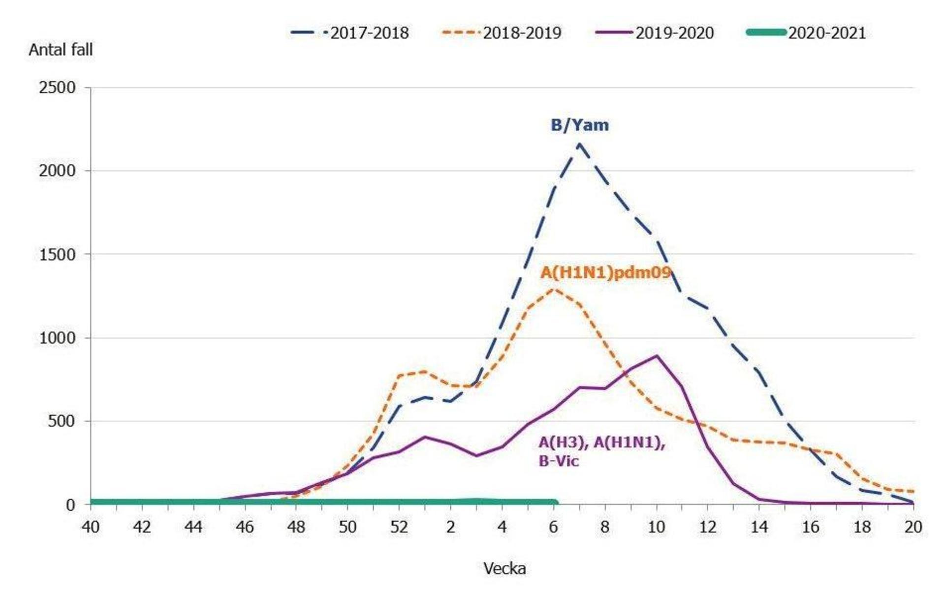 Kurvorna visar antal påvisade fall av säsongsinfluensa under olika år. Den blå linjen visar 2017-2018, den oreanga 2018-2019 och den lila fjolårets säsong. Årets kurva, den gröna, är bara en rak linje vid nollstrecket.