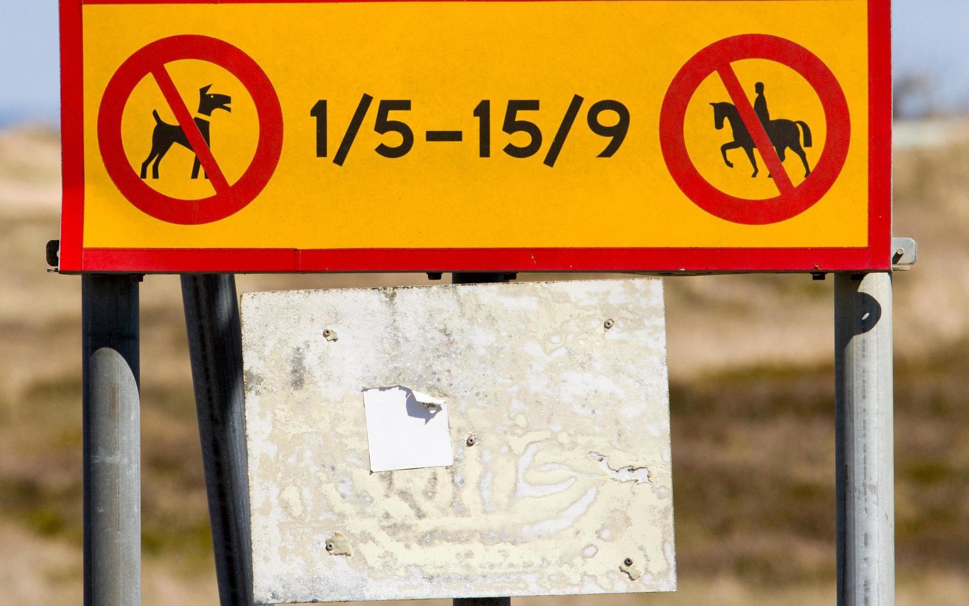 Hundförbud och hästförbud råder på stranden i Laholms kommun mellan 1 maj och 15 september. En majoritet i kommunfullmäktige vill luckra upp hundreglerna, men förslaget åkte på återremiss för vidare utredning.
