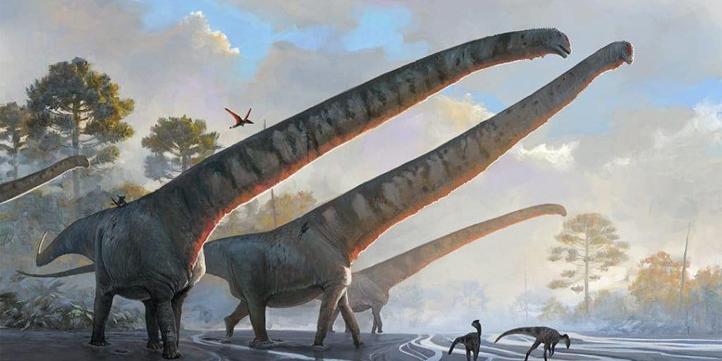 Så här föreställs Mamenchisaurus sinocanadorum ha sett ut. Pressbild.