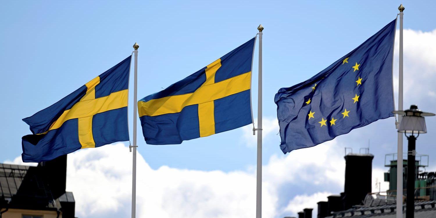 Vi svenskar har röstat två gånger. En gång om EU med bra utfall och en gång om euro med katastrofalt utfall, skriver ”Ensam är inte stark”.