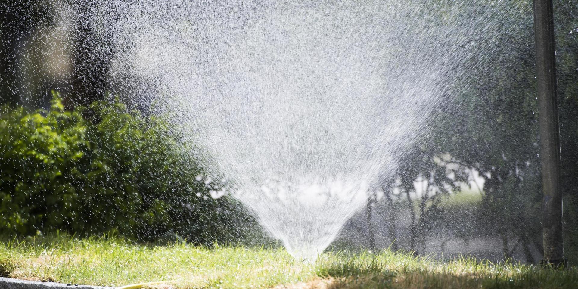 Att ta upp eget grundvatten kan lösa problemet som vattningsförbudet innebär.