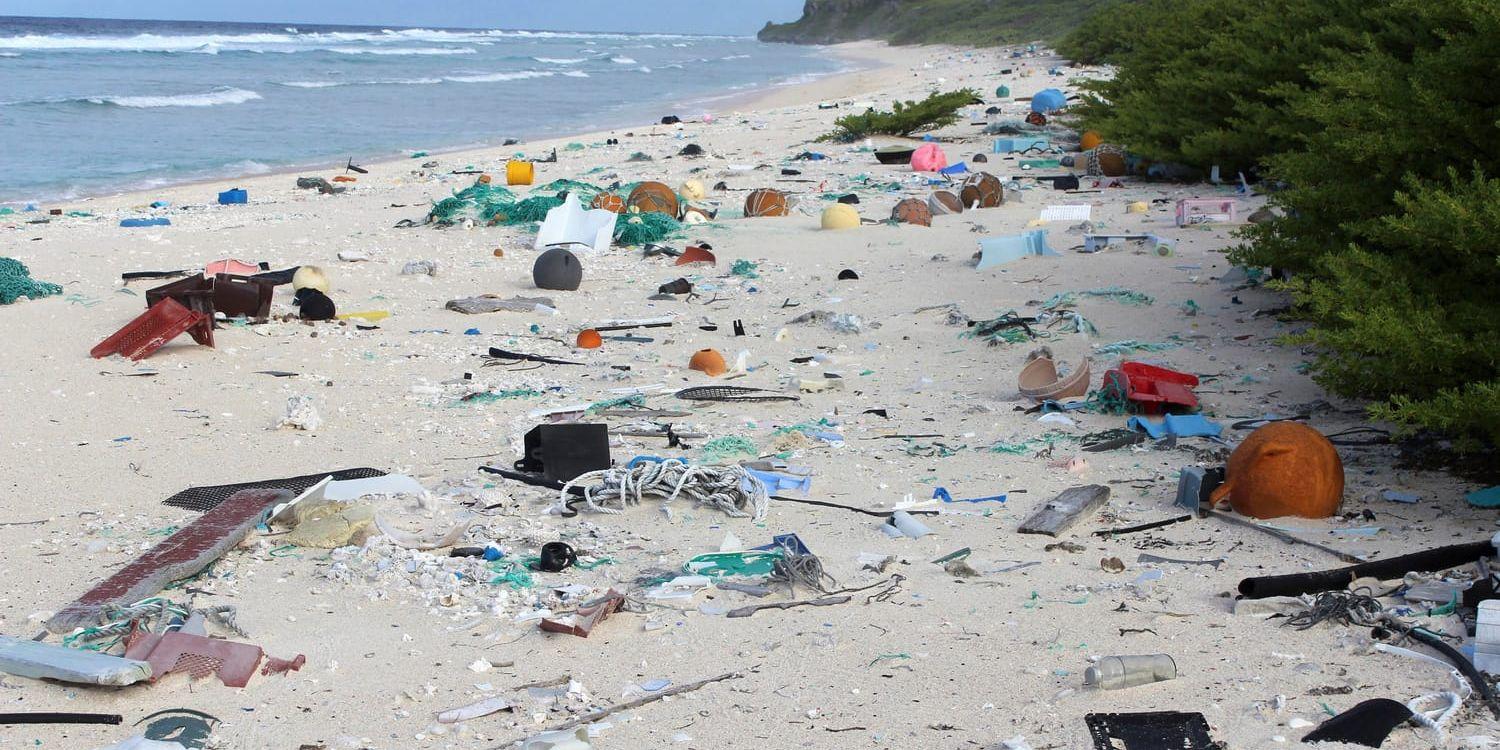 FN uppskattar att cirka åtta miljoner ton plast hamnar i haven varje år. Arkivbild.