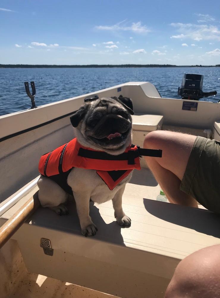 Siri, fem år, ute på tur med båten en fin sommardag. Bild: Viktoria Östblom