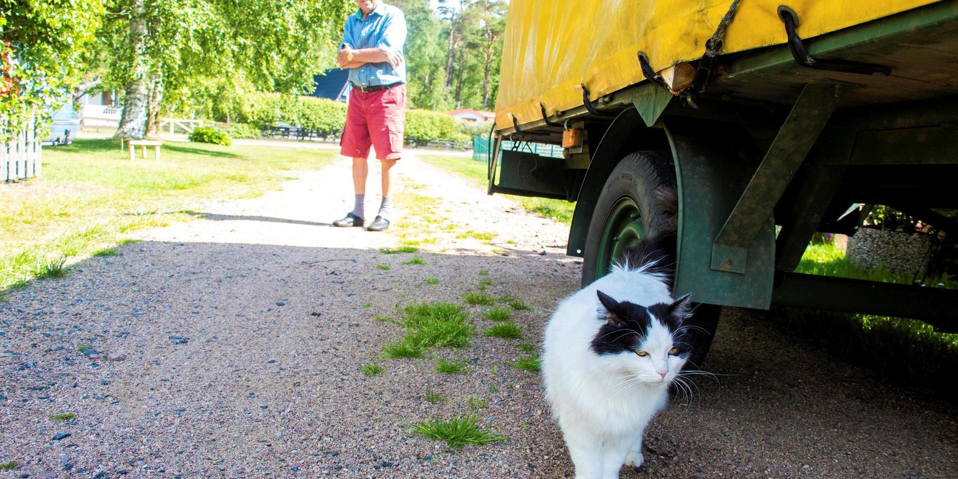 Hasse Svensson har plockat ett hundratal fästingar på katten Zapp som rör sig runt i sommarstugeområdet. 