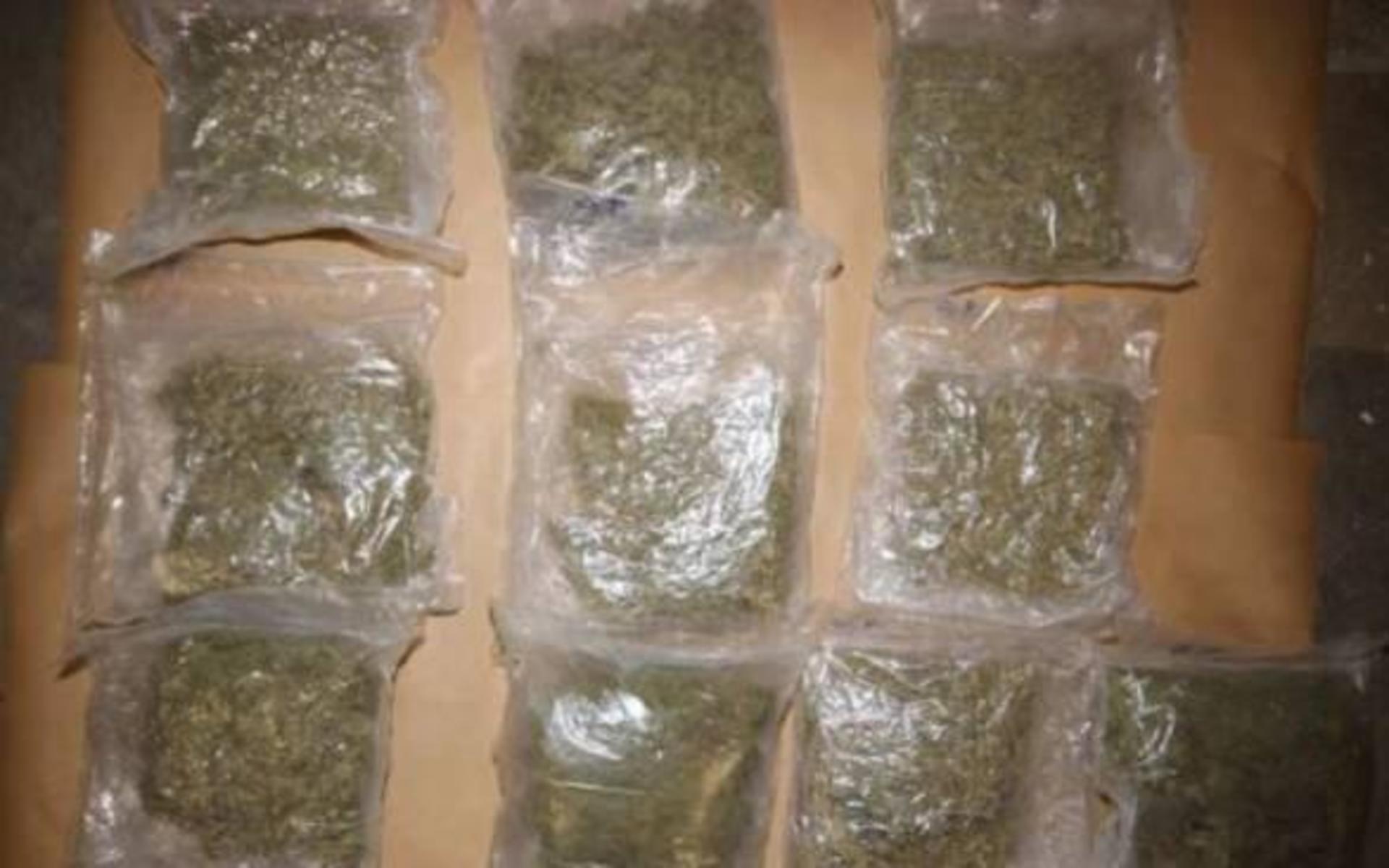 Polisen gjorde stora beslag av cannabis i samband med tillslaget 16 november. Insatsen föregicks av över en månads spaning.