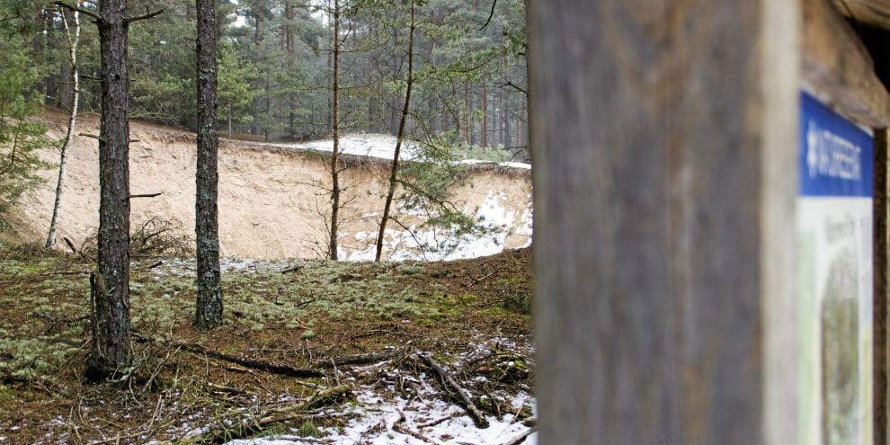 Sandigt. Delägarna i Tjärby skogsallmänning har i alla år fått ta sand till husbehov ur naturreservatet. Naturvårdsverket vill grusa de möjligheterna.