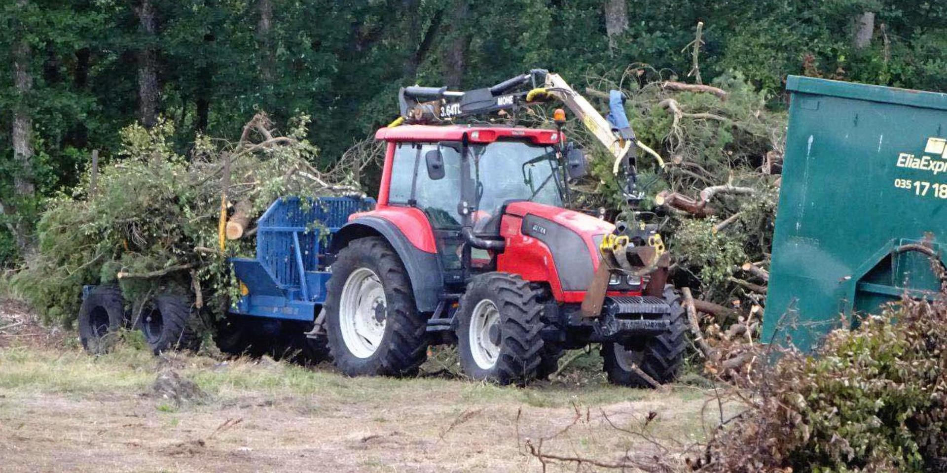 Jan Widikson krävs åter på 20 miljoner för att ersätta träden han lät avverka nära Per Gessles hotell i Tylösand.
