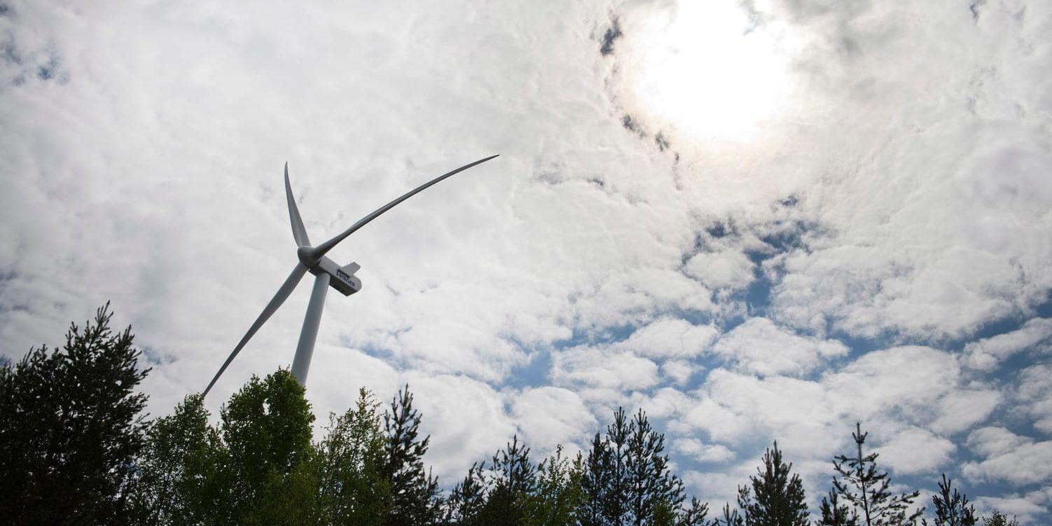 NCC ska utföra en rad olika arbeten i anslutning till vindkraftsparken Markbygden i Piteå. På bilden syns dock en helt annan vindkraftspark. Arkivbild.