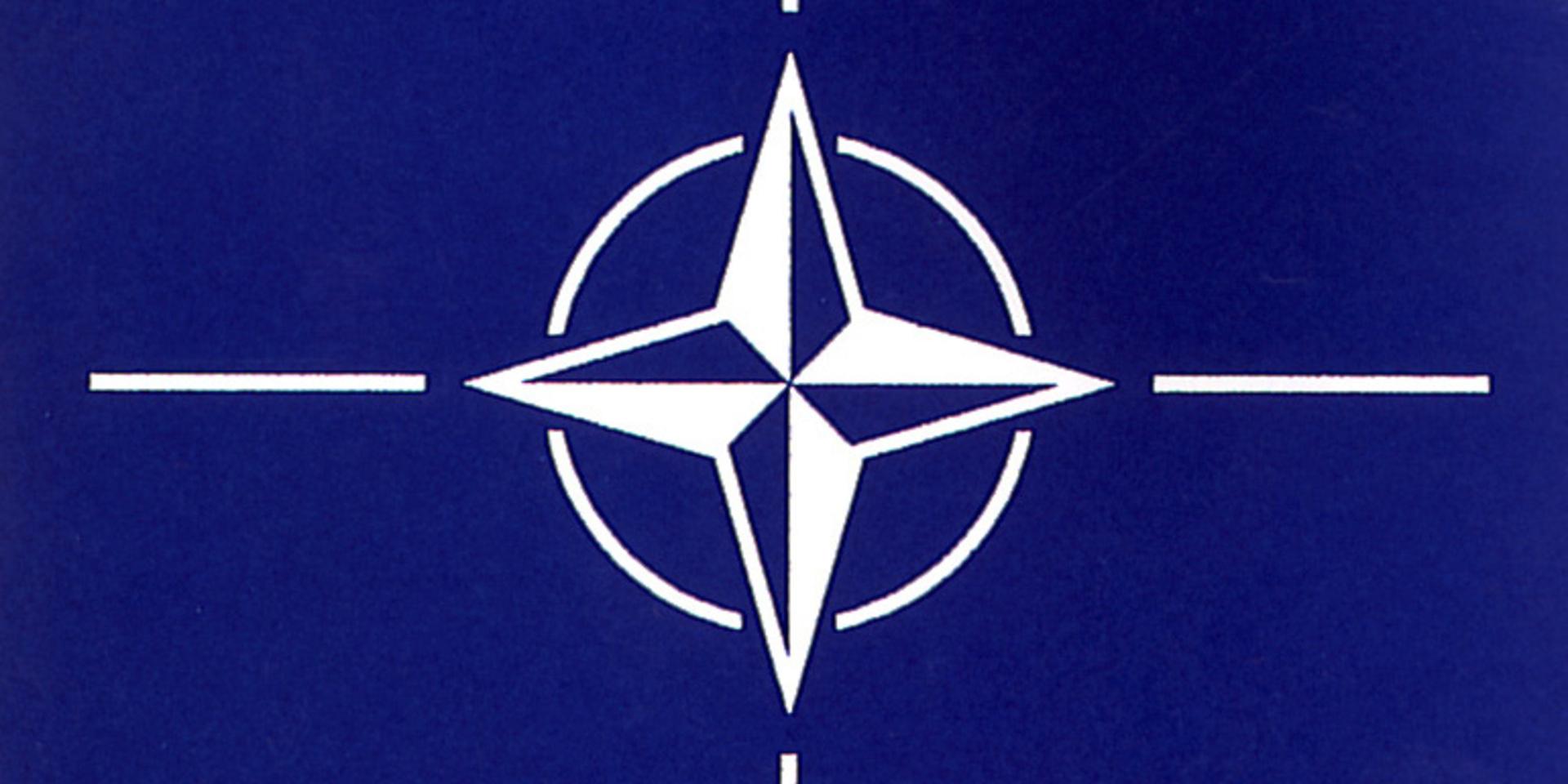 Nato bildades 1949 av tolv länder. Antalet medlemsländer har successivt utvidgats – som mest 2004 när Bulgarien, Estland, Lettland, Litauen, Rumänien, Slovakien och Slovenien gick med. I dag har Nato 30 medlemsländer, där Nordmakedonien 2020 blev det senaste.