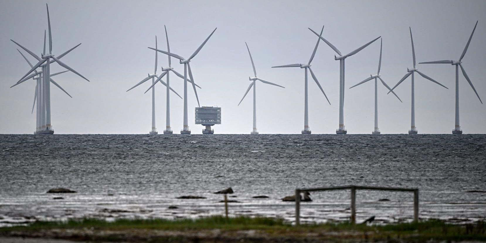Ny havsbaserad vindkraft i Halland kan bli verklighet – om regeringen vill.