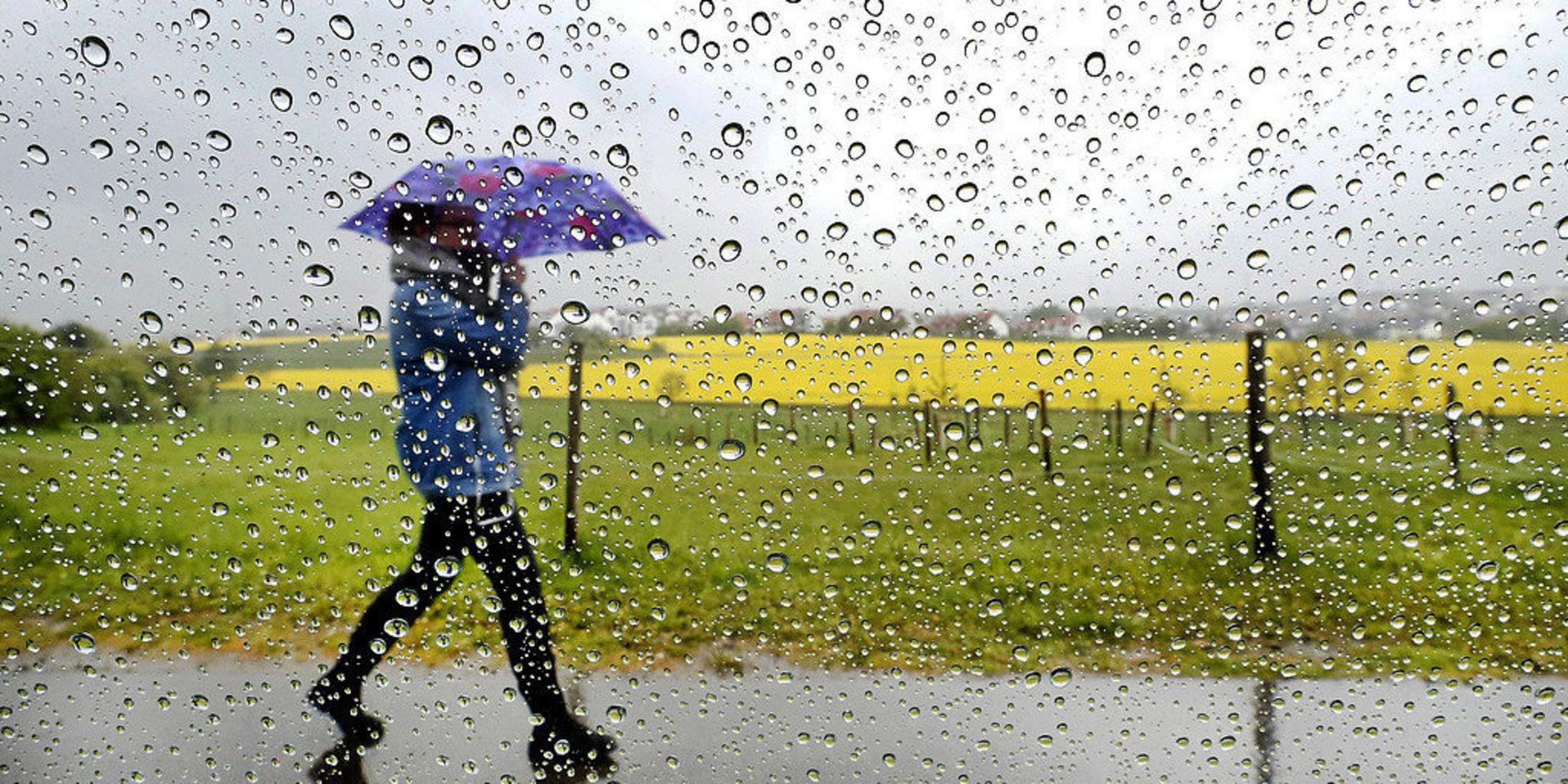 SMHI varnar för kraftiga regn- och åskskurar i Halland.