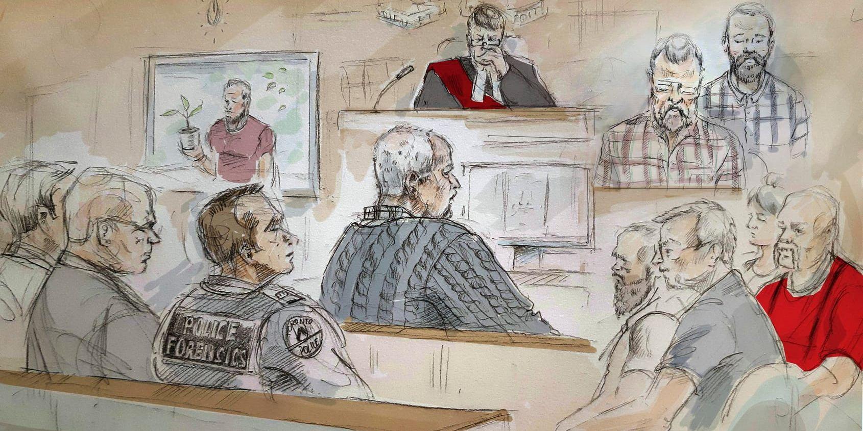 En illustration från rättegången mot den kanadensiske trädgårdsmästaren Bruce McArthur.