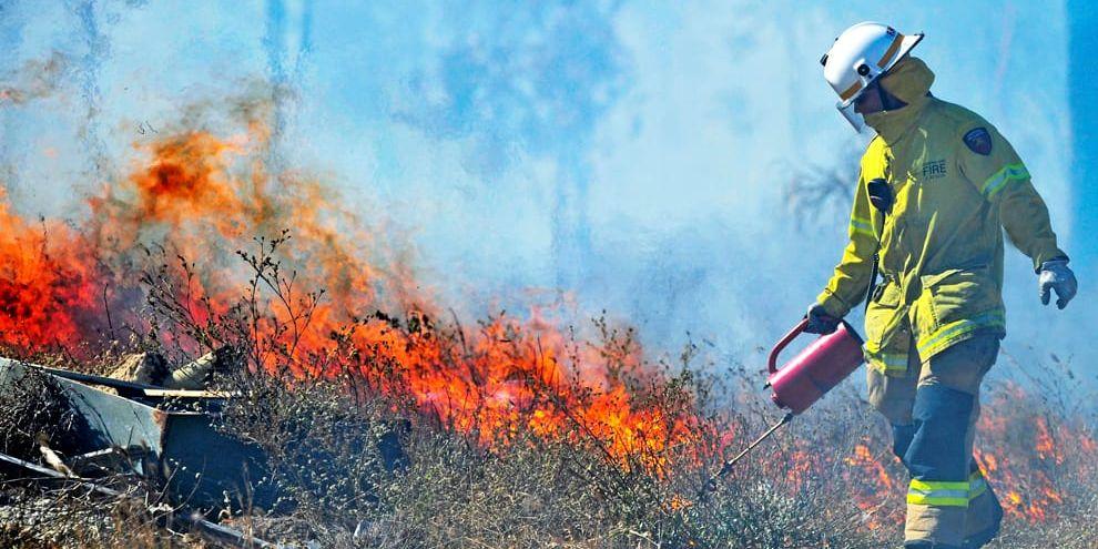 Ny situation. Visst förekommer det gräsbränder i Halmstad, men inte alls på samma sätt i Australien. Backburning är ett vanligt sätt att bekämpa dem.