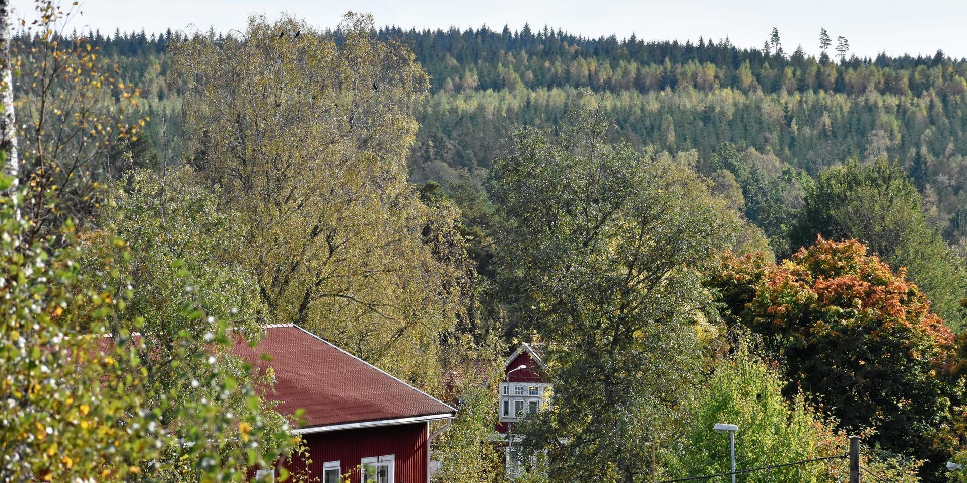 Tusentals hektar, på båda sidorna av Nissadalen i Rydöbruk, ingår i det skogsinnehavs som Stora Enso inte längre räknar till sin ”kärnverksamhet” och som därför nu säljs via mäklare.