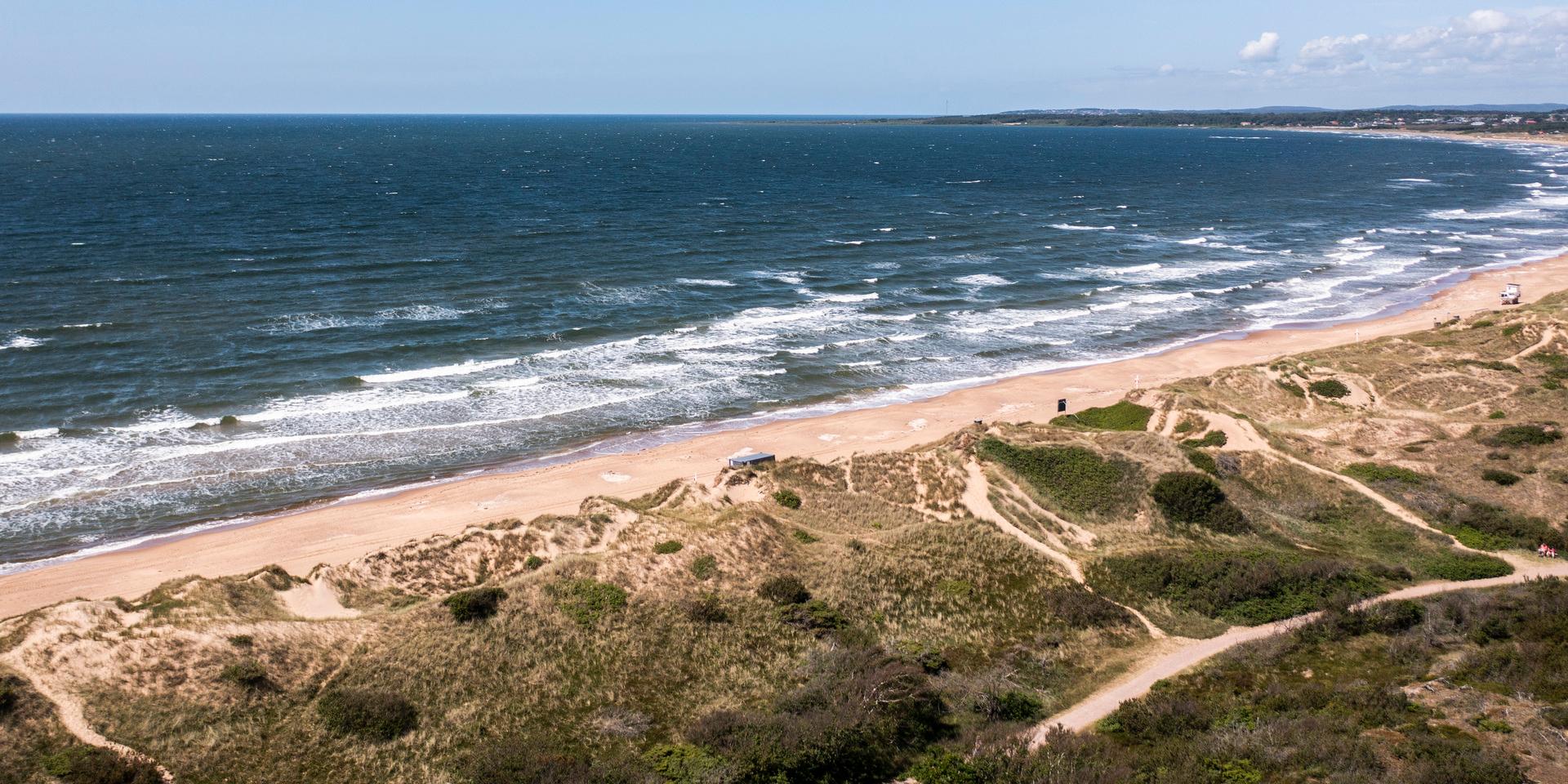 Mellan havet och området där kommunens strandskog sågats ner utan tillstånd ligger sanddynerna och motions– och friluftsslingan Prins Bertils stig.