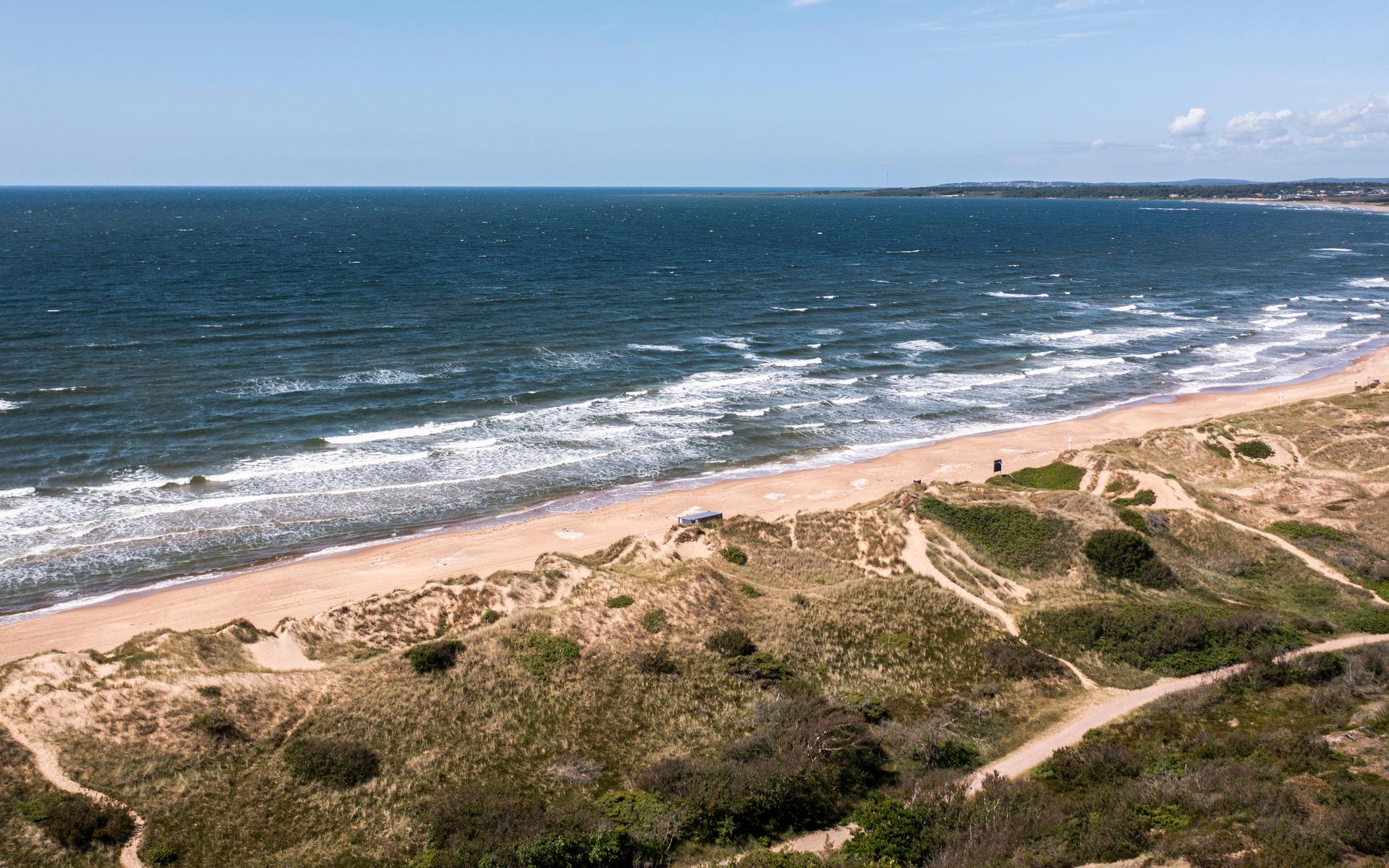 Mellan havet och området där kommunens strandskog sågats ner utan tillstånd ligger sanddynerna och motions– och friluftsslingan Prins Bertils stig.