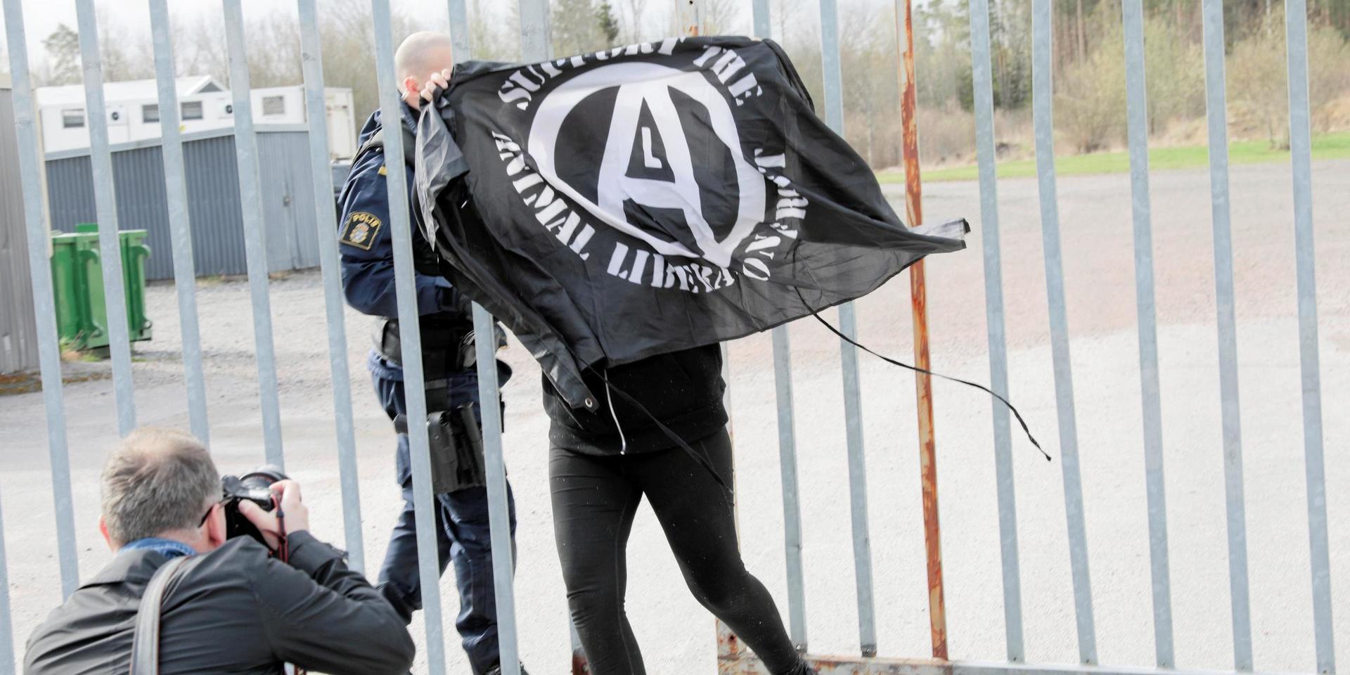 Polisen ingriper mot ett antal djurrättsaktivister som kedjat fast sig vid ett slakteri i Attersta utanför Örebro i april 2018.