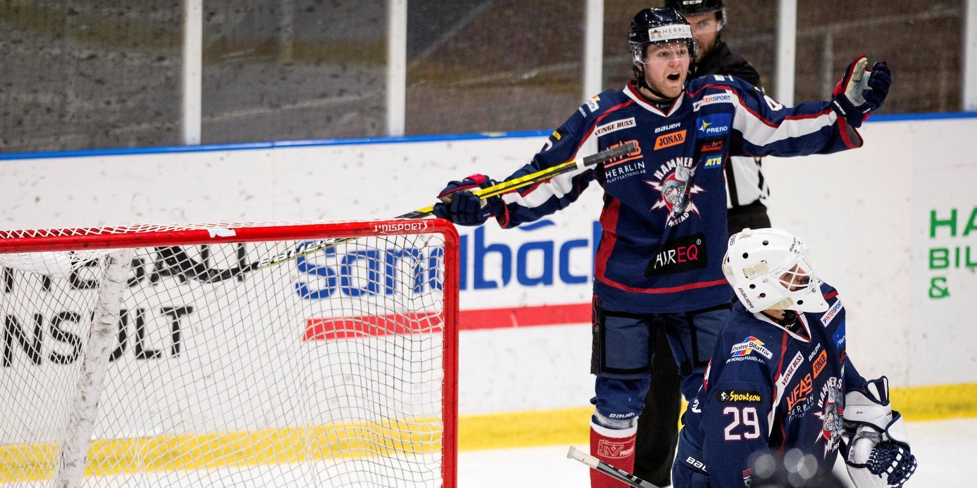 Hammers sportchef Niklas Söderström vill stänga Hockeyettan för nedflyttning och flytta fram den planerade nedbantningen ett år efter förbundets beslut.