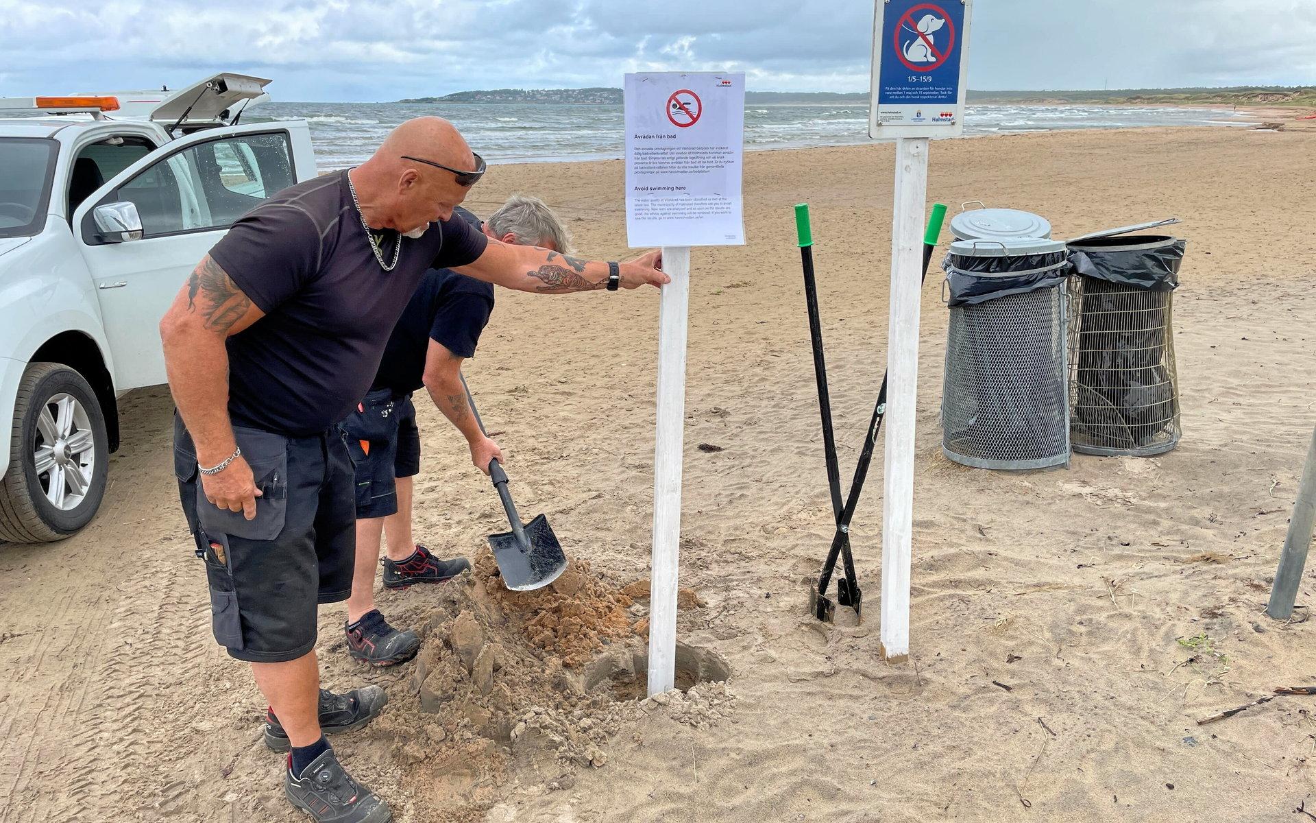 Kent Vaide och Rune Larsson från teknik- och fastighetsförvaltningen sätter upp skyltar utmed stranden som informerar om att kommunen avråder från bad.