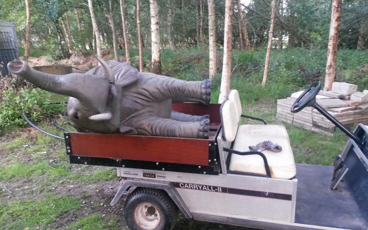 Att ha en elefant på flaket är ingen lätt last, men eftersom att Pinny är en statyelefant blev det lättare för greenkeepern Mats Johansson som hittat den stulna elefanten vid Strandtorps Golfklubb. Bild: Privat