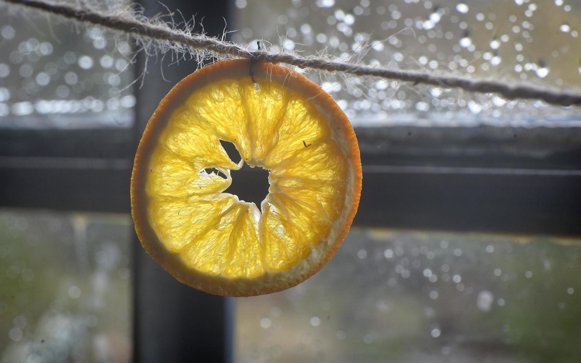 En girlang med apelsinklyfter pryder ladans nya fönster.